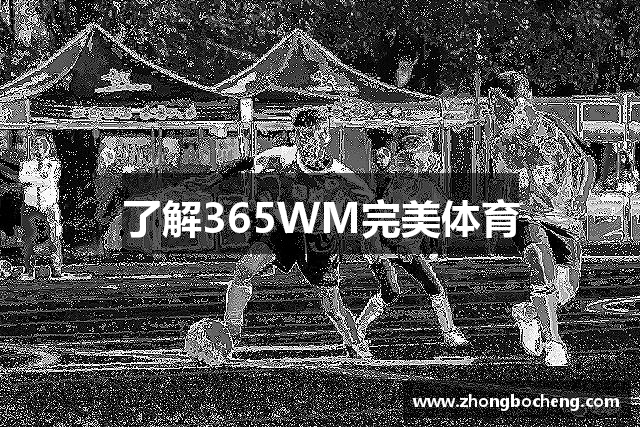 了解B体育官网